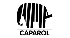 caparol logo